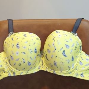 Comexim Yellow Bird plunge in 65H